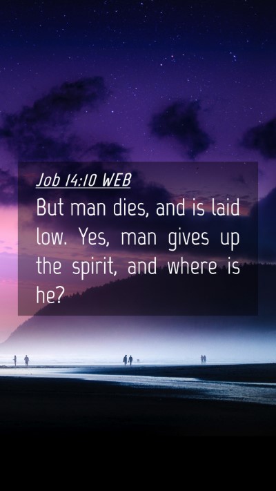 Picture 04 - Job 14:10 WEB Mobile Phone Wallpaper - But man dies, and is laid low. Yes, man gives up - Mobile Bible Verse Wallpaper