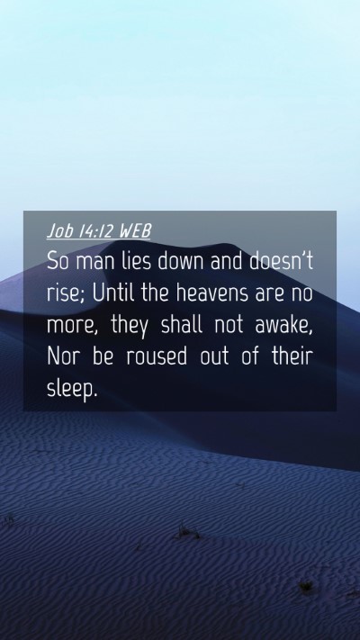 Picture 04 - Job 14:12 WEB Mobile Phone Wallpaper - So man lies down and doesn't rise; Until the - Mobile Bible Verse Wallpaper