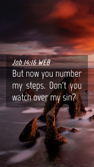 Picture 04 - Job 14:16 WEB Mobile Phone Wallpaper - But now you number my steps. Don't you watch over - Mobile Bible Verse Wallpaper