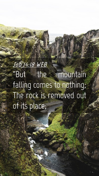Picture 04 - Job 14:18 WEB Mobile Phone Wallpaper - 