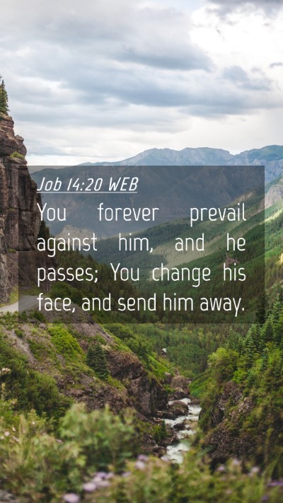 Picture 04 - Job 14:20 WEB Mobile Phone Wallpaper - You forever prevail against him, and he passes; - Mobile Bible Verse Wallpaper
