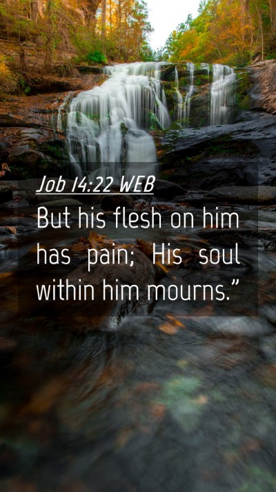 Picture 04 - Job 14:22 WEB Mobile Phone Wallpaper - But his flesh on him has pain; His soul within - Mobile Bible Verse Wallpaper