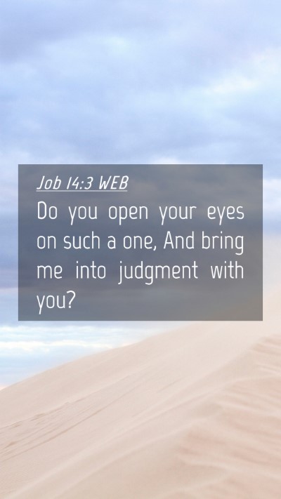 Picture 04 - Job 14:3 WEB Mobile Phone Wallpaper - Do you open your eyes on such a one, And bring me - Mobile Bible Verse Wallpaper
