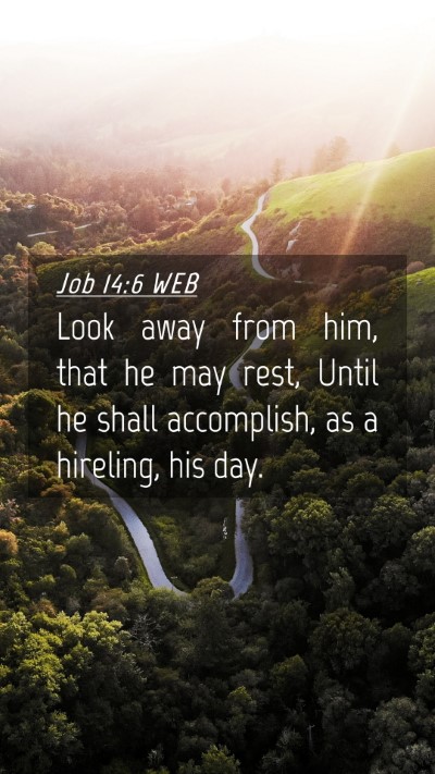 Picture 04 - Job 14:6 WEB Mobile Phone Wallpaper - Look away from him, that he may rest, Until he - Mobile Bible Verse Wallpaper