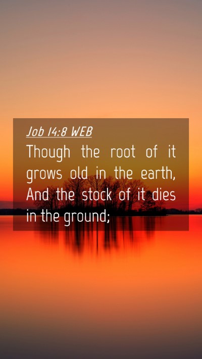 Picture 04 - Job 14:8 WEB Mobile Phone Wallpaper - Though the root of it grows old in the earth, And - Mobile Bible Verse Wallpaper