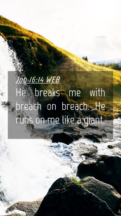 Picture 04 - Job 16:14 WEB Mobile Phone Wallpaper - He breaks me with breach on breach. He runs on me - Mobile Bible Verse Wallpaper