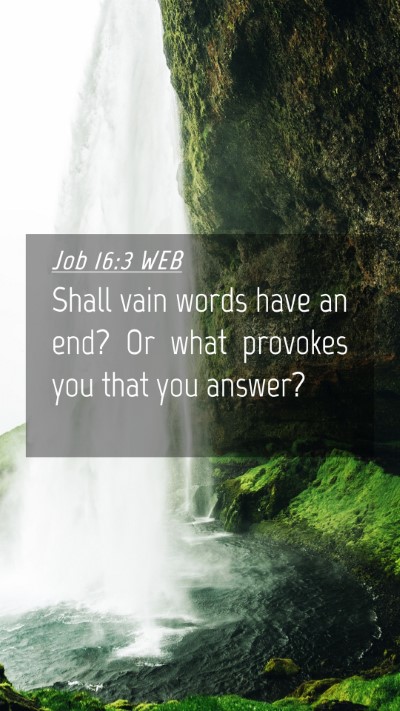 Picture 04 - Job 16:3 WEB Mobile Phone Wallpaper - Shall vain words have an end? Or what provokes - Mobile Bible Verse Wallpaper