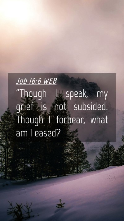 Picture 04 - Job 16:6 WEB Mobile Phone Wallpaper - 