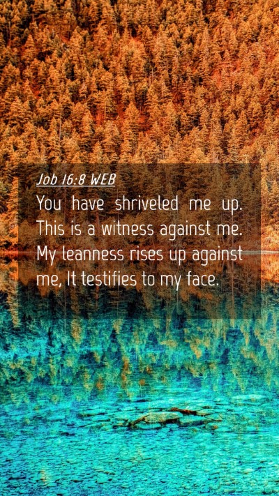 Picture 04 - Job 16:8 WEB Mobile Phone Wallpaper - You have shriveled me up. This is a witness - Mobile Bible Verse Wallpaper