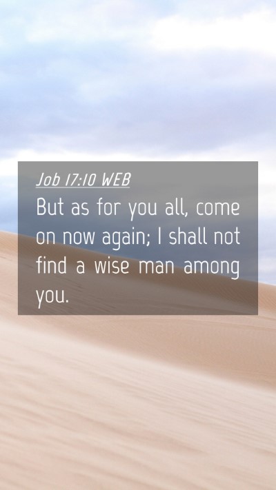 Picture 04 - Job 17:10 WEB Mobile Phone Wallpaper - But as for you all, come on now again; I shall - Mobile Bible Verse Wallpaper