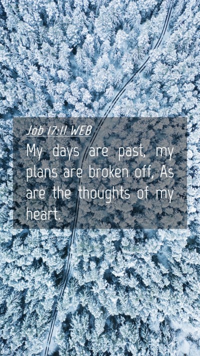 Picture 04 - Job 17:11 WEB Mobile Phone Wallpaper - My days are past, my plans are broken off, As are - Mobile Bible Verse Wallpaper