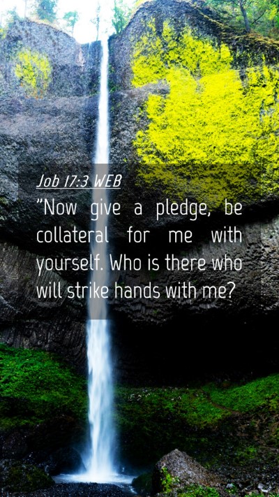 Picture 04 - Job 17:3 WEB Mobile Phone Wallpaper - 