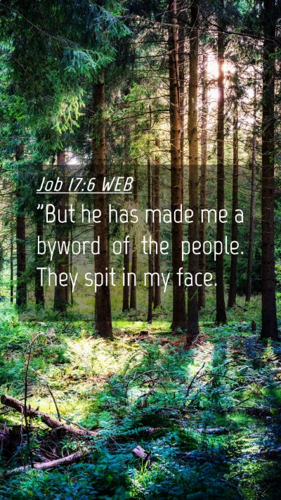 Picture 04 - Job 17:6 WEB Mobile Phone Wallpaper - 