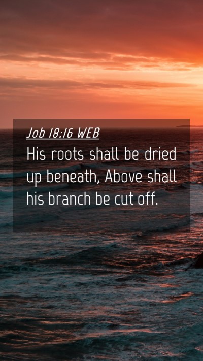 Picture 04 - Job 18:16 WEB Mobile Phone Wallpaper - His roots shall be dried up beneath, Above shall - Mobile Bible Verse Wallpaper