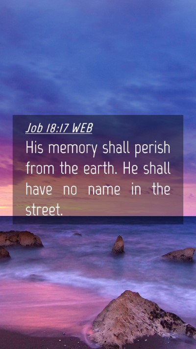 Picture 04 - Job 18:17 WEB Mobile Phone Wallpaper - His memory shall perish from the earth. He shall - Mobile Bible Verse Wallpaper