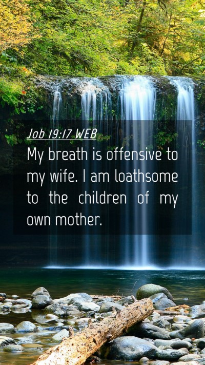 Picture 04 - Job 19:17 WEB Mobile Phone Wallpaper - My breath is offensive to my wife. I am loathsome - Mobile Bible Verse Wallpaper
