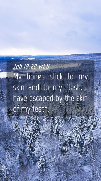 Picture 04 - Job 19:20 WEB Mobile Phone Wallpaper - My bones stick to my skin and to my flesh. I have - Mobile Bible Verse Wallpaper