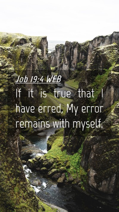 Picture 04 - Job 19:4 WEB Mobile Phone Wallpaper - If it is true that I have erred, My error remains - Mobile Bible Verse Wallpaper