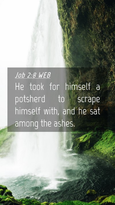 Picture 04 - Job 2:8 WEB Mobile Phone Wallpaper - He took for himself a potsherd to scrape himself - Mobile Bible Verse Wallpaper