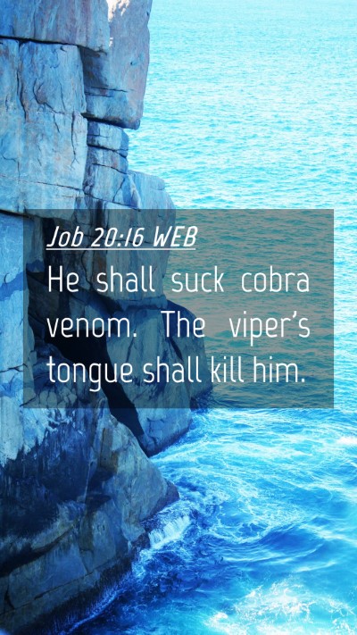 Picture 04 - Job 20:16 WEB Mobile Phone Wallpaper - He shall suck cobra venom. The viper's tongue - Mobile Bible Verse Wallpaper