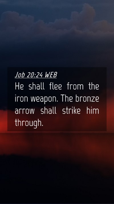 Picture 04 - Job 20:24 WEB Mobile Phone Wallpaper - He shall flee from the iron weapon. The bronze - Mobile Bible Verse Wallpaper