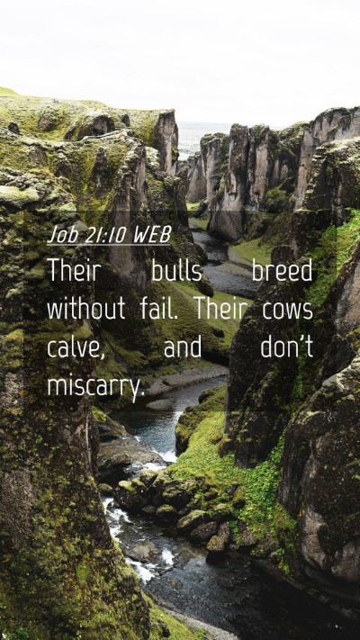 Picture 04 - Job 21:10 WEB Mobile Phone Wallpaper - Their bulls breed without fail. Their cows calve, - Mobile Bible Verse Wallpaper