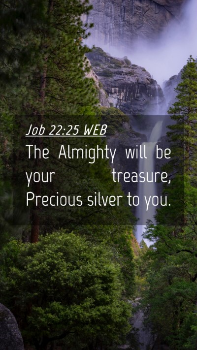 Picture 04 - Job 22:25 WEB Mobile Phone Wallpaper - The Almighty will be your treasure, Precious - Mobile Bible Verse Wallpaper
