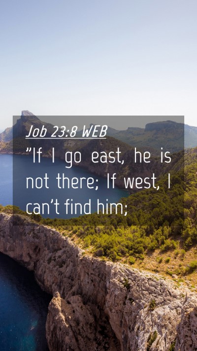 Picture 04 - Job 23:8 WEB Mobile Phone Wallpaper - 