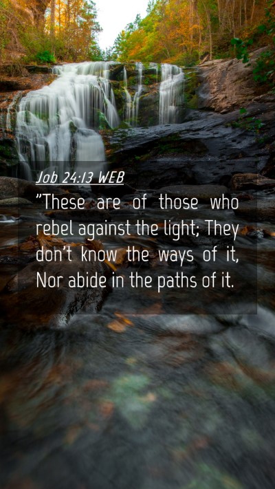 Picture 04 - Job 24:13 WEB Mobile Phone Wallpaper - 
