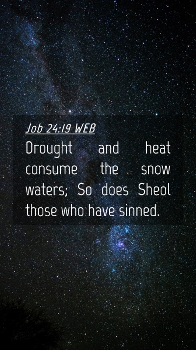 Picture 04 - Job 24:19 WEB Mobile Phone Wallpaper - Drought and heat consume the snow waters; So does - Mobile Bible Verse Wallpaper