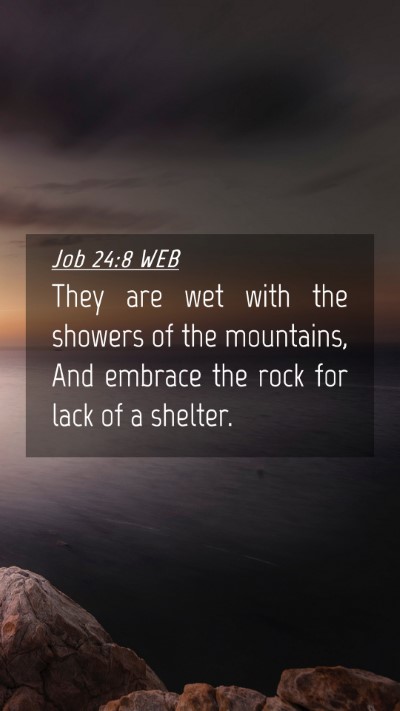 Picture 04 - Job 24:8 WEB Mobile Phone Wallpaper - They are wet with the showers of the mountains, - Mobile Bible Verse Wallpaper