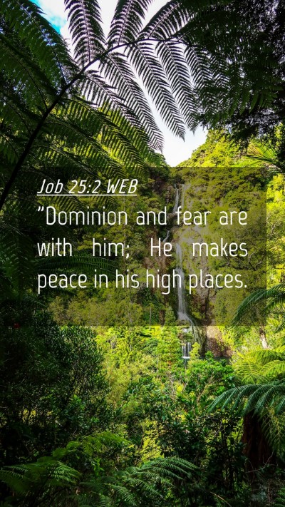 Picture 04 - Job 25:2 WEB Mobile Phone Wallpaper - 