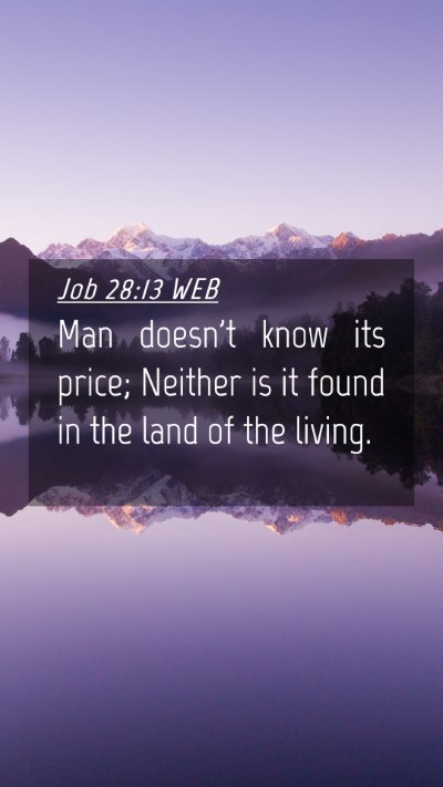Picture 04 - Job 28:13 WEB Mobile Phone Wallpaper - Man doesn't know its price; Neither is it found - Mobile Bible Verse Wallpaper