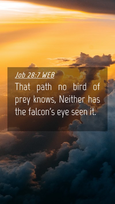 Picture 04 - Job 28:7 WEB Mobile Phone Wallpaper - That path no bird of prey knows, Neither has the - Mobile Bible Verse Wallpaper
