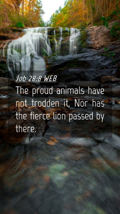 Picture 04 - Job 28:8 WEB Mobile Phone Wallpaper - The proud animals have not trodden it, Nor has - Mobile Bible Verse Wallpaper