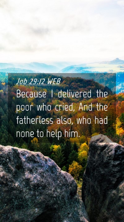 Picture 04 - Job 29:12 WEB Mobile Phone Wallpaper - Because I delivered the poor who cried, And the - Mobile Bible Verse Wallpaper