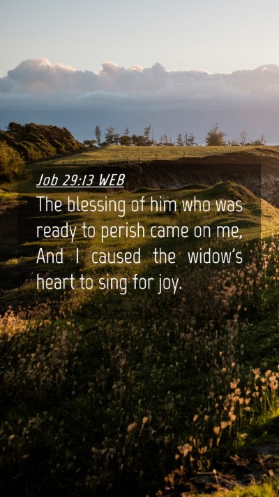 Picture 04 - Job 29:13 WEB Mobile Phone Wallpaper - The blessing of him who was ready to perish came - Mobile Bible Verse Wallpaper