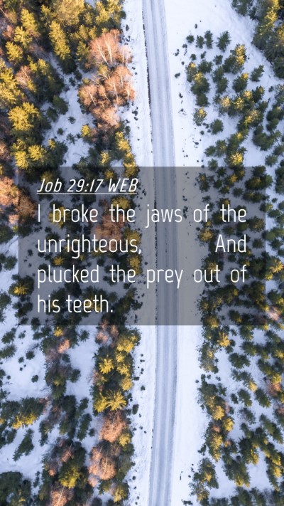 Picture 04 - Job 29:17 WEB Mobile Phone Wallpaper - I broke the jaws of the unrighteous, And plucked - Mobile Bible Verse Wallpaper