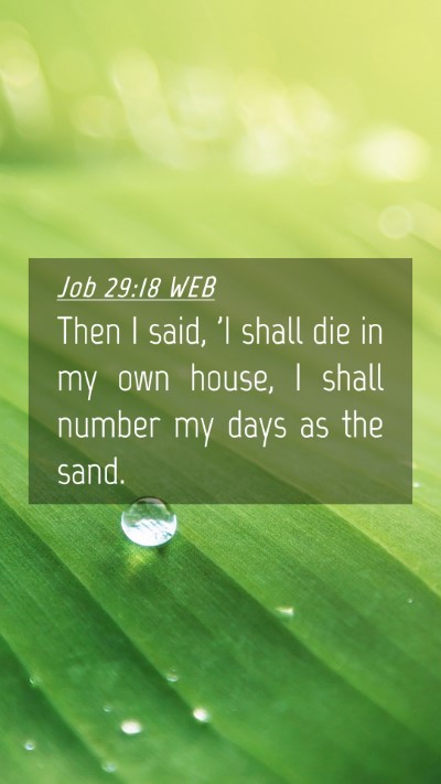 Picture 04 - Job 29:18 WEB Mobile Phone Wallpaper - Then I said, 'I shall die in my own house, I - Mobile Bible Verse Wallpaper
