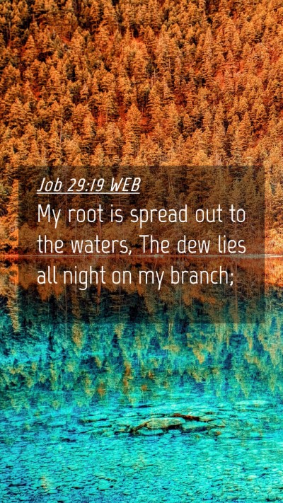 Picture 04 - Job 29:19 WEB Mobile Phone Wallpaper - My root is spread out to the waters, The dew lies - Mobile Bible Verse Wallpaper