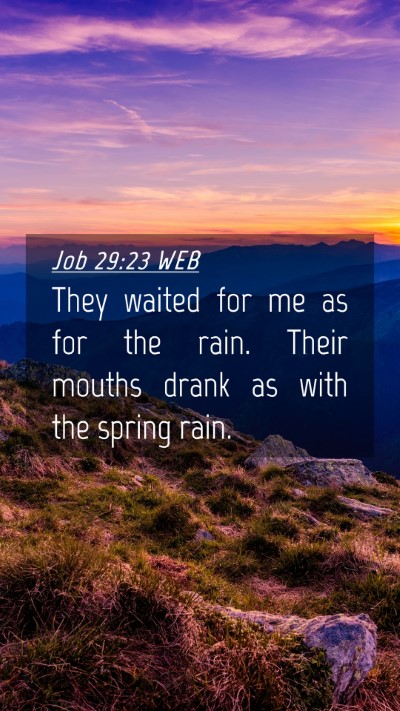 Picture 04 - Job 29:23 WEB Mobile Phone Wallpaper - They waited for me as for the rain. Their mouths - Mobile Bible Verse Wallpaper