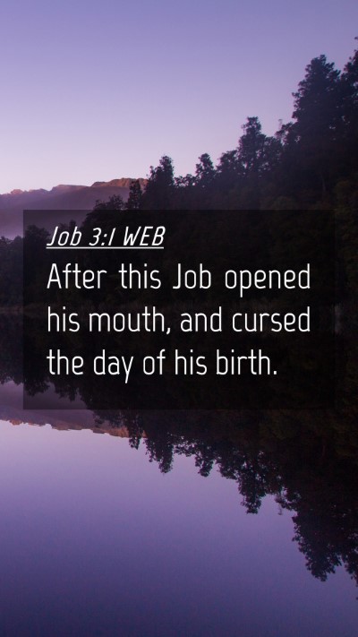 Picture 04 - Job 3:1 WEB Mobile Phone Wallpaper - After this Job opened his mouth, and cursed the - Mobile Bible Verse Wallpaper