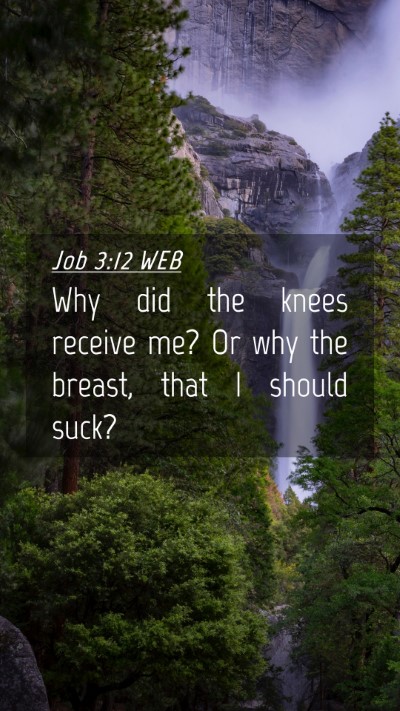 Picture 04 - Job 3:12 WEB Mobile Phone Wallpaper - Why did the knees receive me? Or why the breast, - Mobile Bible Verse Wallpaper