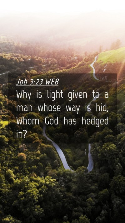 Picture 04 - Job 3:23 WEB Mobile Phone Wallpaper - Why is light given to a man whose way is hid, - Mobile Bible Verse Wallpaper