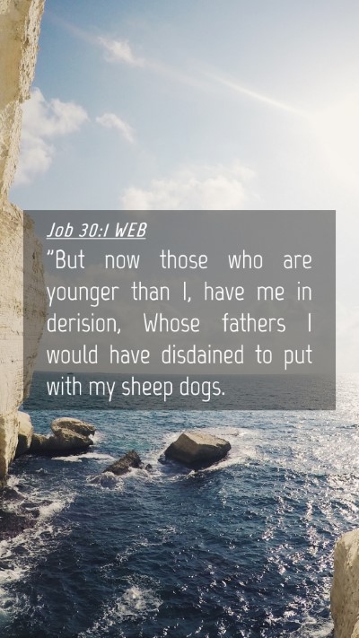 Picture 04 - Job 30:1 WEB Mobile Phone Wallpaper - 