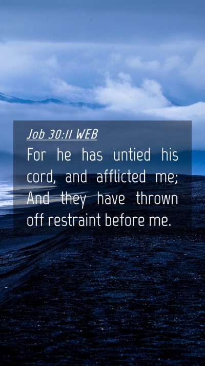 Picture 04 - Job 30:11 WEB Mobile Phone Wallpaper - For he has untied his cord, and afflicted me; And - Mobile Bible Verse Wallpaper
