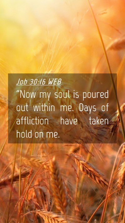 Picture 04 - Job 30:16 WEB Mobile Phone Wallpaper - 