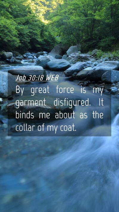 Picture 04 - Job 30:18 WEB Mobile Phone Wallpaper - By great force is my garment disfigured. It binds - Mobile Bible Verse Wallpaper
