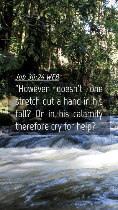 Picture 04 - Job 30:24 WEB Mobile Phone Wallpaper - 