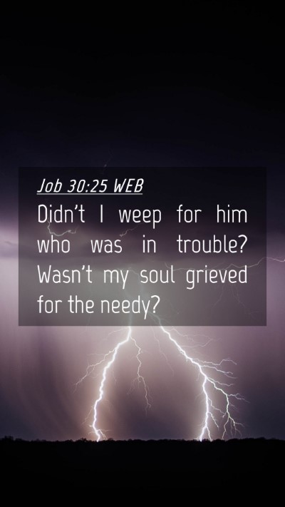 Picture 04 - Job 30:25 WEB Mobile Phone Wallpaper - Didn't I weep for him who was in trouble? Wasn't - Mobile Bible Verse Wallpaper